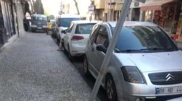 EFELER BELEDİYESİNE  HALKTAN ÇAĞRI  “DOĞAYI SEV AĞACI KORU”