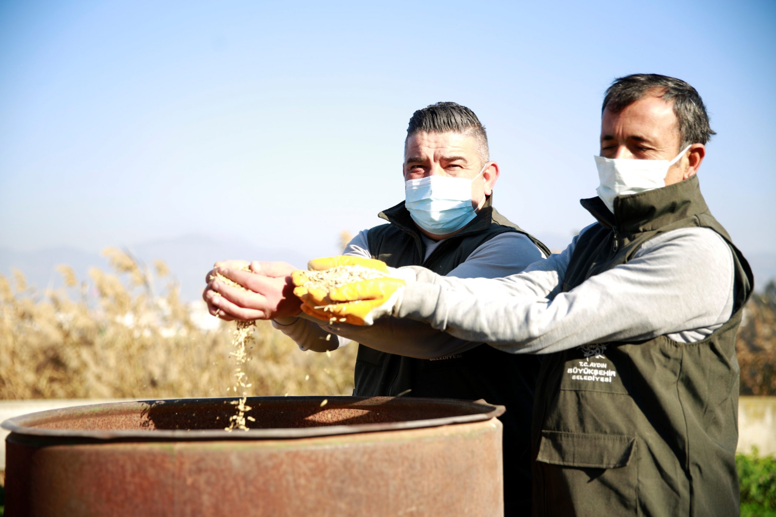 ‘TOPUKLU EFE’ ARPA ÜRETİMİNİ DE BAŞLATTI