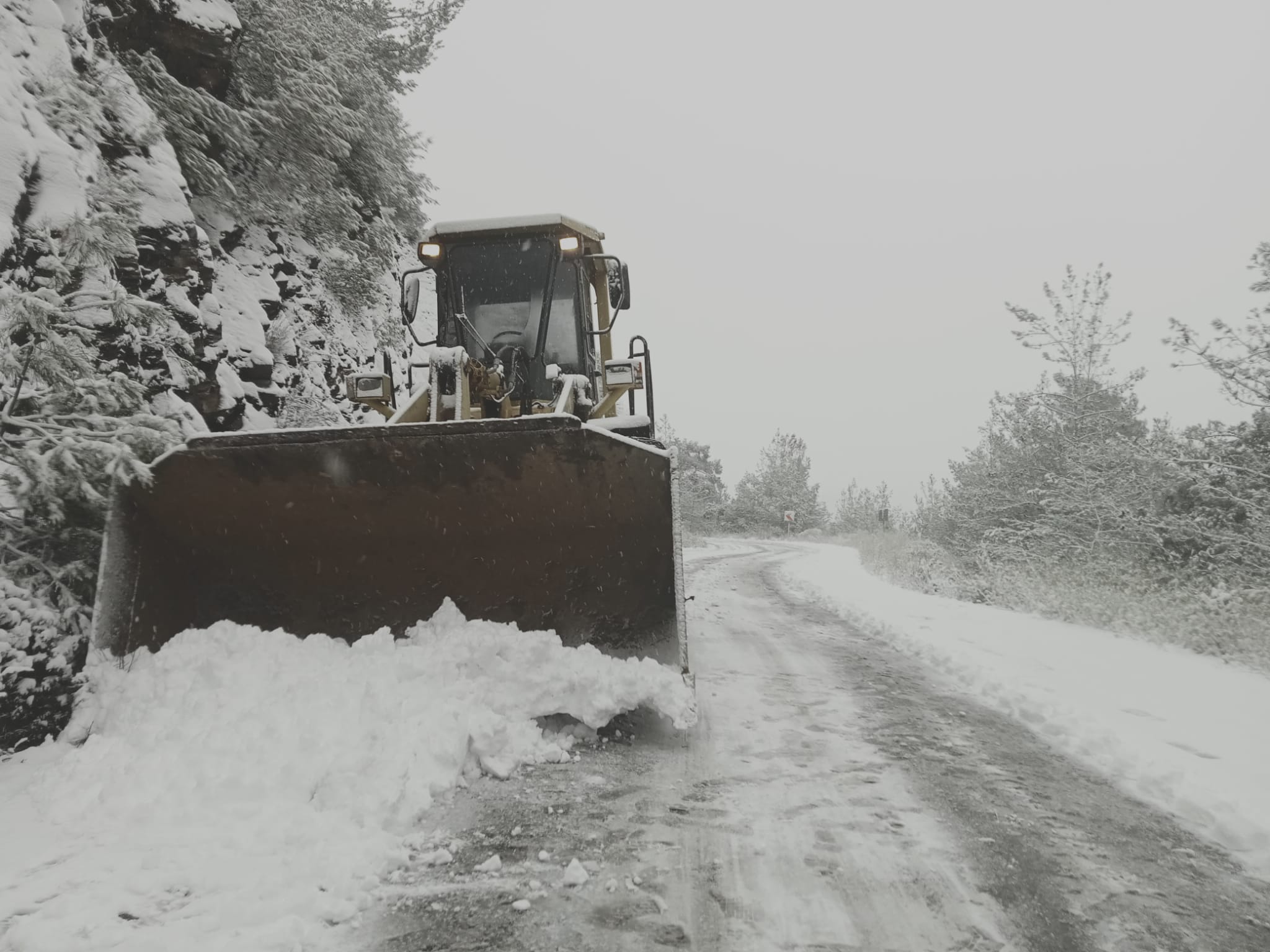 AYDIN B.B EKİPLERİ KARLA MÜCADELE ÇALIŞMALARINI SÜRDÜRÜYOR