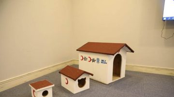 BODRUM BELEDİYESİ VE STK’LERDEN SOKAK HAYVANLARI İÇİN ORTAK PROJE