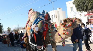 BODRUM’DA MANDALİNA HASAT FESTİVALİ GERÇEKLEŞTİRİLDİ