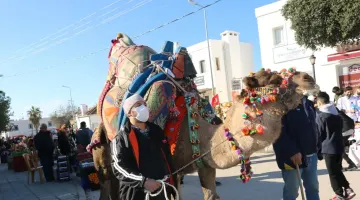 BODRUM’DA MANDALİNA HASAT FESTİVALİ GERÇEKLEŞTİRİLDİ