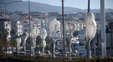 KUŞADASI’NDA AĞAÇLARA ÖZEL KORUMA