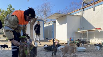 KUŞADASI BELEDİYESİ SOĞUK HAVADA CAN DOSTLARINI UNUTMADI