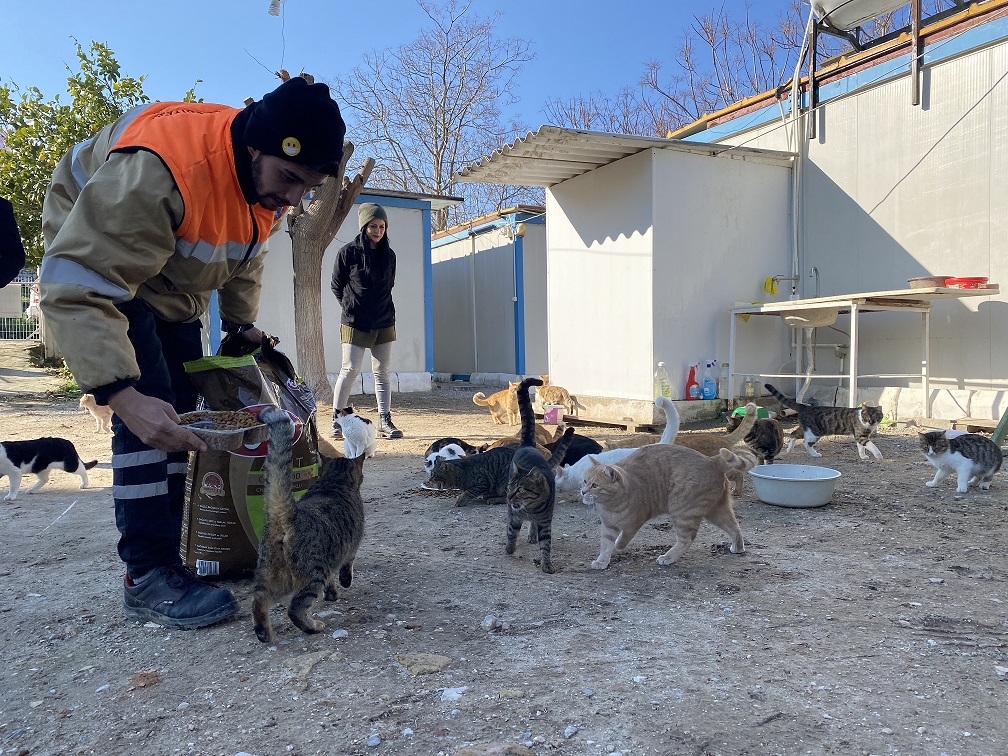 KUŞADASI BELEDİYESİ SOĞUK HAVADA CAN DOSTLARINI UNUTMADI