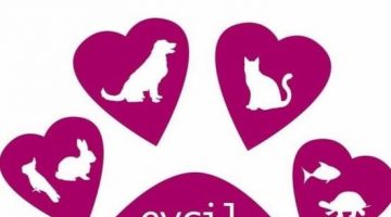 EVCİL HAYVAN BAKICISI