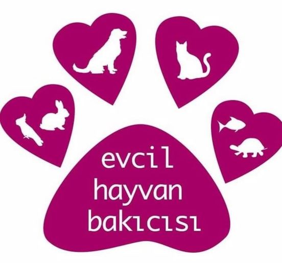 EVCİL HAYVAN BAKICISI