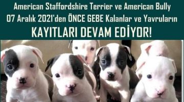 ÖNEMLİ HATIRLATMA  #14ocakkarabirleke #14ocak #sokağaterkeme