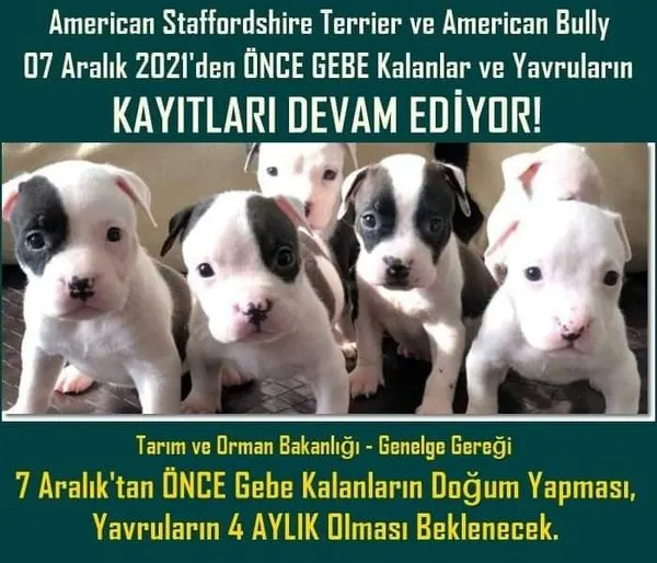 ÖNEMLİ HATIRLATMA  #14ocakkarabirleke #14ocak #sokağaterkeme