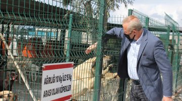 BAŞKAN ATABAY’DAN  CAN DOSTLAR İÇİN YENİ PROJE