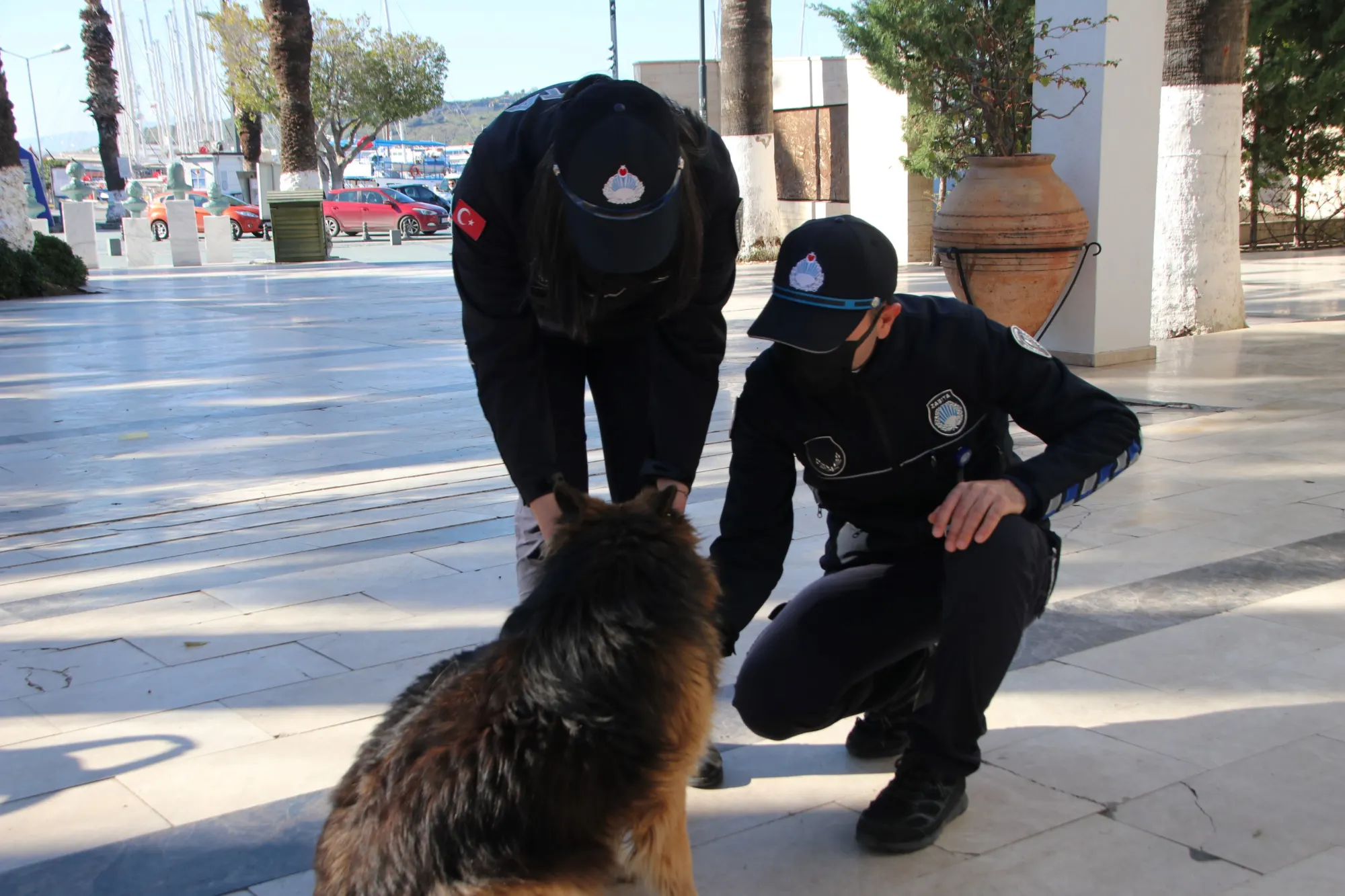 BODRUM BELEDİYESİ’NDEN SOKAKTAKİ CANLAR İÇİN TABELA