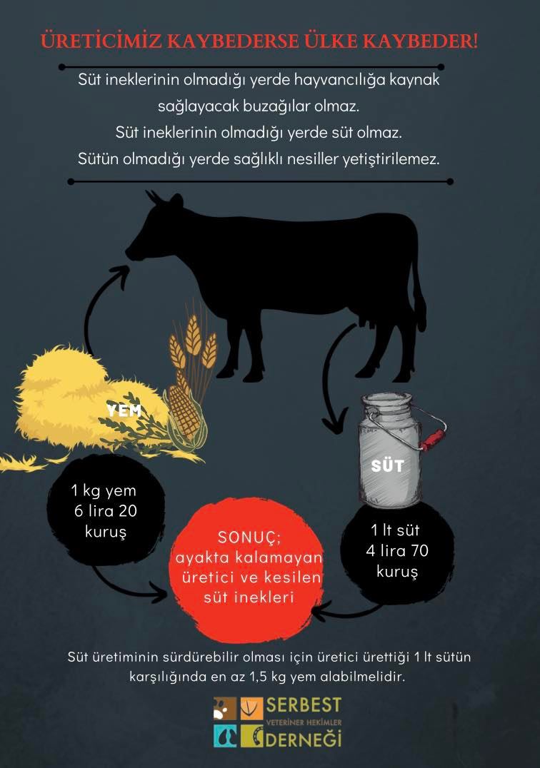 !!  HAYATİ ÖNEME SAHİP STRATEJİK KONULAR ??