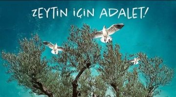 ZEYTİN  İÇİN  ADALET