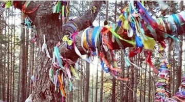 BİR  DİLEK  TUT ” BİR  DİLEĞİM  VAR”