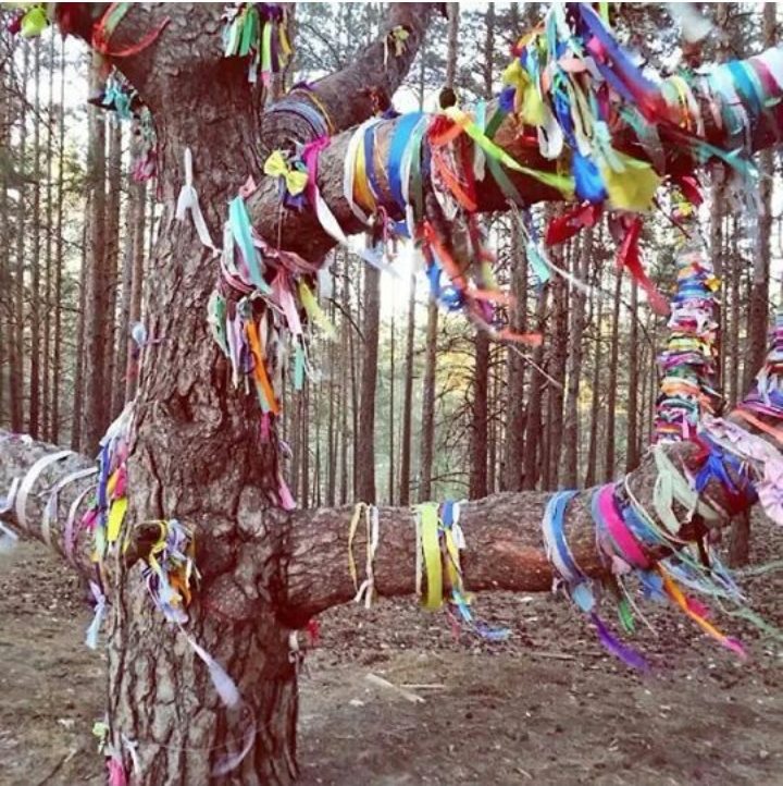 BİR  DİLEK  TUT ” BİR  DİLEĞİM  VAR”