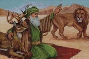 YAZI DİZİSİ ” ALEVİLİK VE BEKTAŞİLİK  ÜZERİNE “