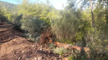 DİDİM AKBÜK MAHELESİNDE NE YOLU YAPILIYOR?