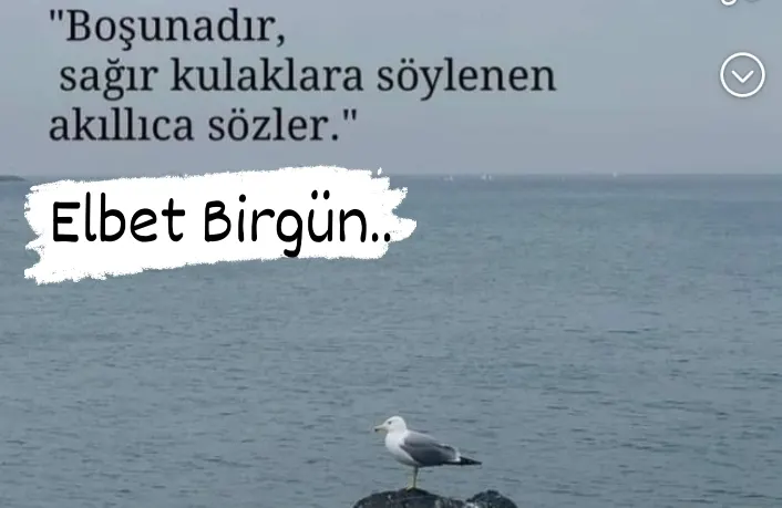 BOŞUNADIR SAĞIR KULAKLARA SÖYLENEN AKILLICA SÖZLER