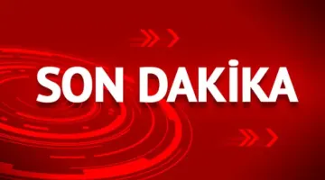 SON DAKİKA  ” DİDİM’DE YANGIN “