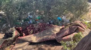 DİDİM BELEDİYESİ TEMİZLİK İŞLERİ MÜDÜRLÜĞÜ’’ HALINIZI SAHİLDE UNUTMUŞSUNUZ’’