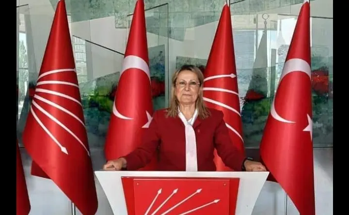AYŞEGÜL  TAŞDELEN  DAĞLI ” DÜNYA  BARIŞI  KADINLARIN ELİNDE “