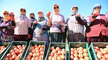 ”NAR NEŞESİ, ŞEN TANESİ” ŞENLİĞİ BU PAZAR ZEYTİNKÖY’DE