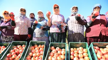 ”NAR NEŞESİ, ŞEN TANESİ” ŞENLİĞİ BU PAZAR ZEYTİNKÖY’DE