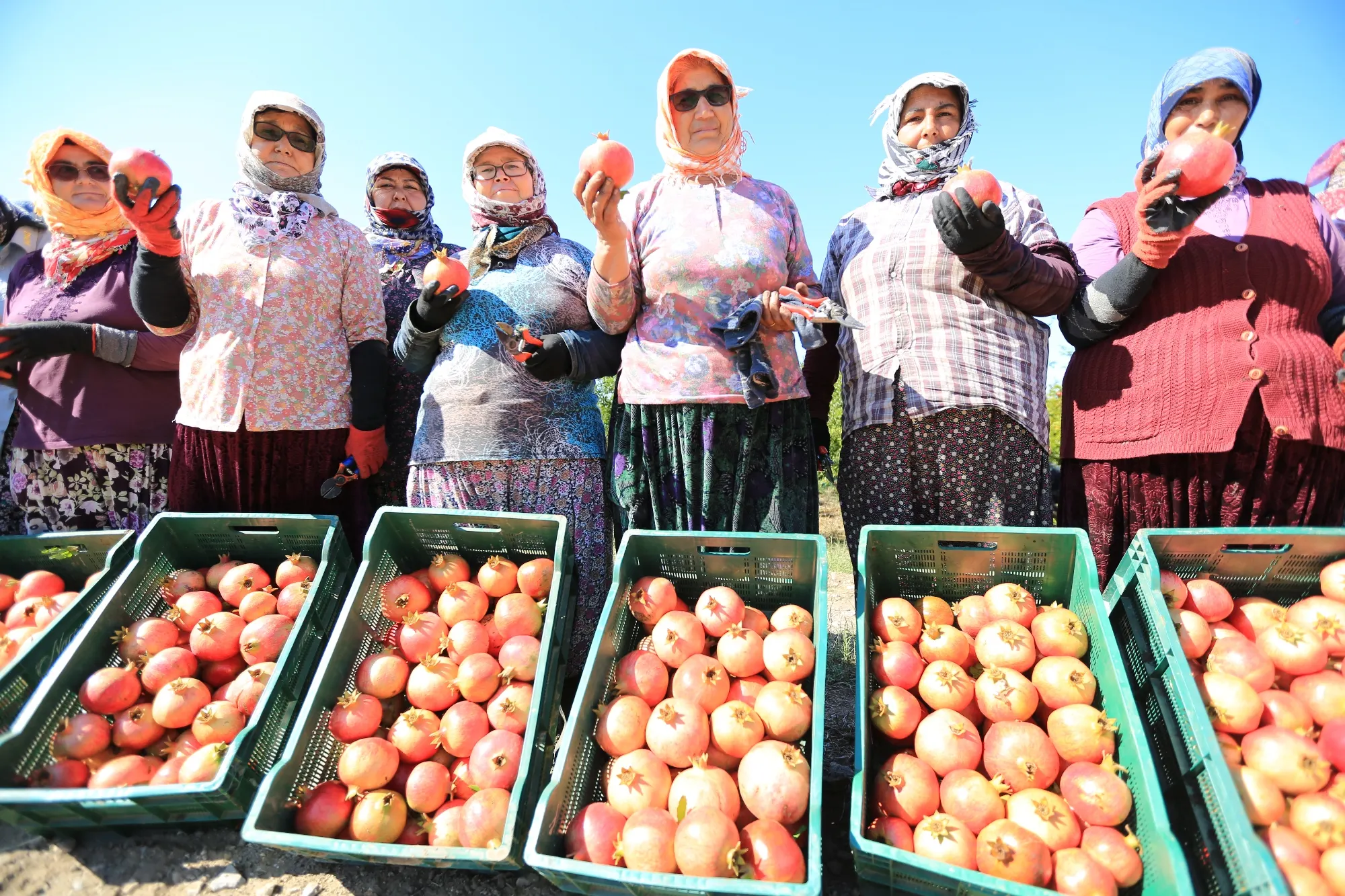 ”NAR NEŞESİ, ŞEN TANESİ” ŞENLİĞİ BU PAZAR ZEYTİNKÖY’DE