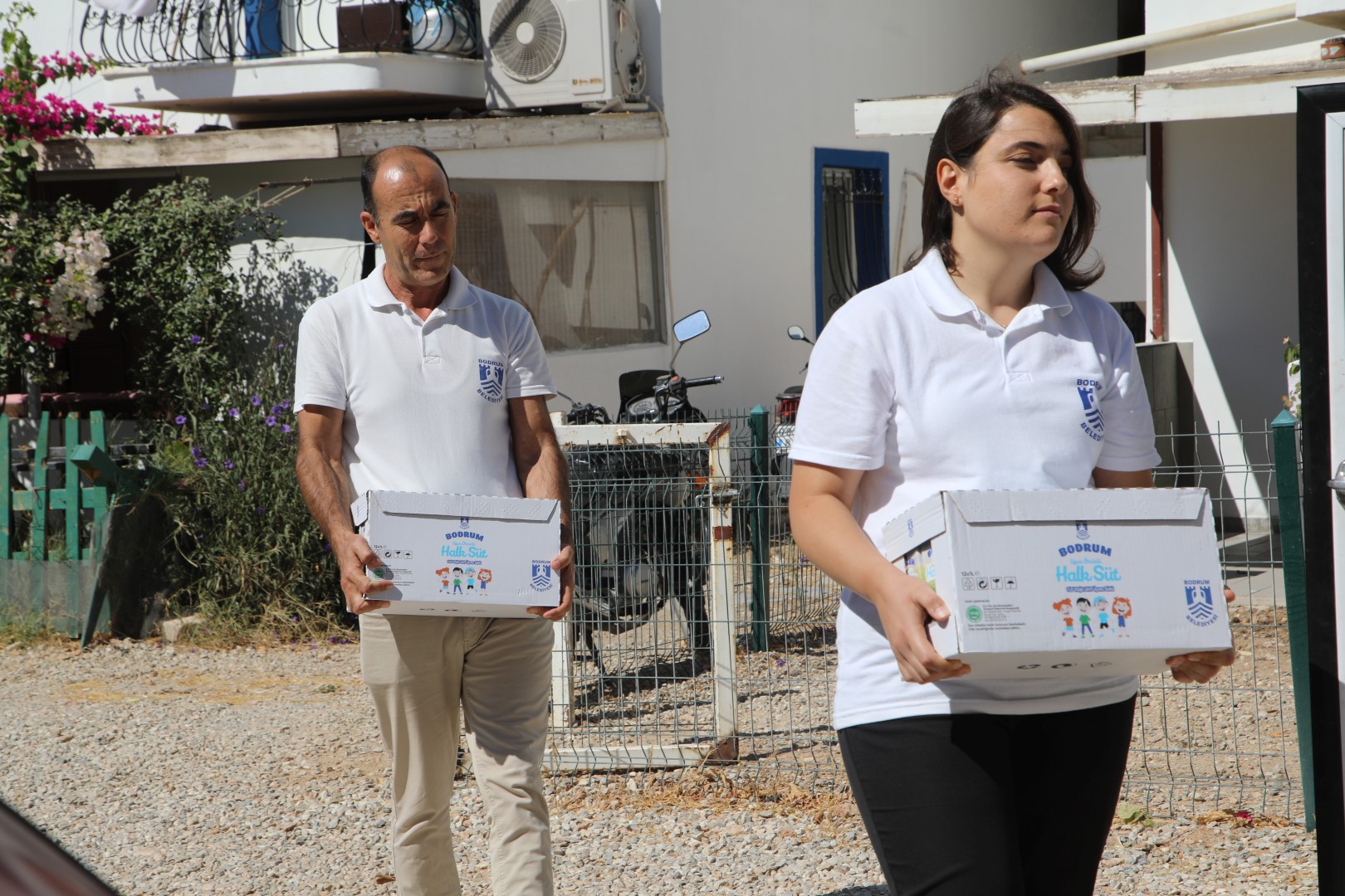 BODRUM HALK SÜT DAĞITIMI SÜRÜYOR 