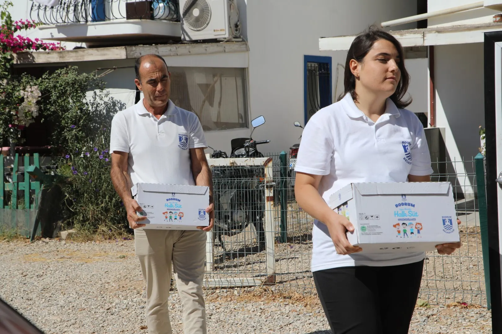 BODRUM HALK SÜT DAĞITIMI SÜRÜYOR 