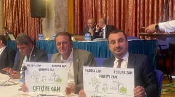 HÜSEYİN  YILDIZ AYDIN  ÇİFTÇİSİNİN SORUNLARINI MECLİSE  TAŞIDI