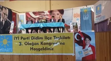DİDİM İYİ  PARTİ  KONGRESİ VE KEDİ