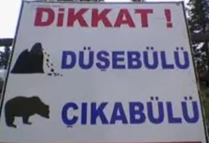 DAŞ DÜŞEBÜLÜ AYI ÇIKABÜLÜ