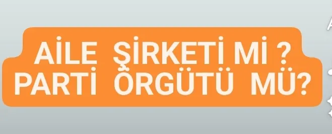 AİLE ŞİRKETİMİ ÖRGÜT MÜ