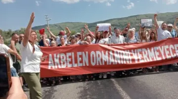 AGAÇ VE DİRENENLER KAZANIR