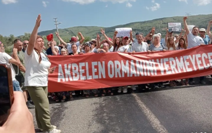 AGAÇ VE DİRENENLER KAZANIR