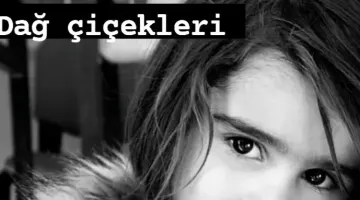 İYİLİK ISITIR  “DAĞ ÇİÇEKLERİ”