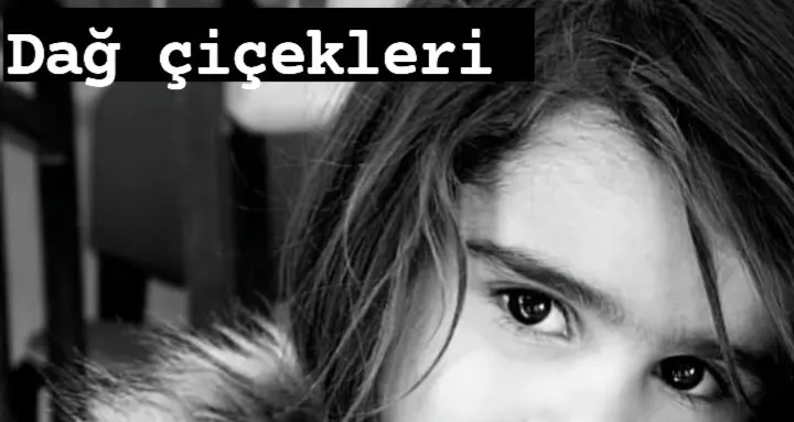 İYİLİK ISITIR  “DAĞ ÇİÇEKLERİ”