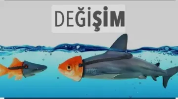 DEĞİŞMEK ŞART AMA NASIL