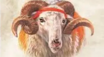 DANAYA GİRER GİBİ KİTABA ORTAK GİRMEK” AZ MİZAH “