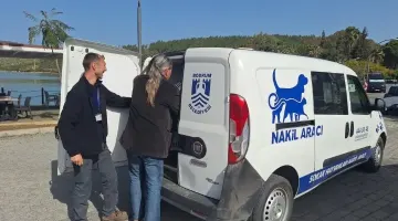 3 BİN 738 SOKAK HAYVANINA MÜDAHALE