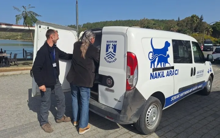 3 BİN 738 SOKAK HAYVANINA MÜDAHALE