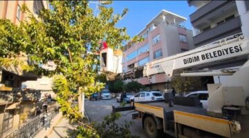 DİDİM BELEDİYESİ İLÇEDEKİ AĞAÇLARIN KIŞ BAKIMLARINI GERÇEKLEŞTİRİYOR