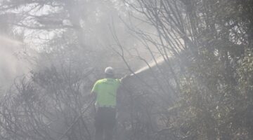 DİDİM’DE ORMAN YANGINLARI KORKUTTU