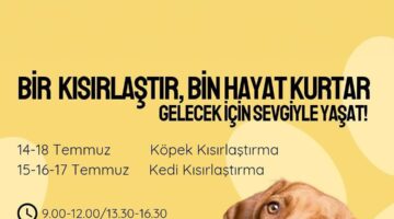 DİDİM BELEDİYESİ’NDEN SOKAK HAYVANLARINA ÜCRETSİZ KISIRLAŞTIRMA ETKİNLİĞİ