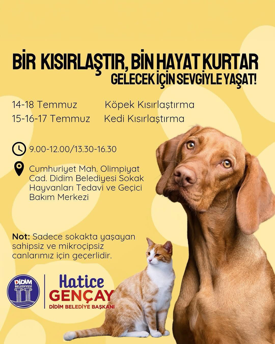 DİDİM BELEDİYESİ’NDEN SOKAK HAYVANLARINA ÜCRETSİZ KISIRLAŞTIRMA ETKİNLİĞİ