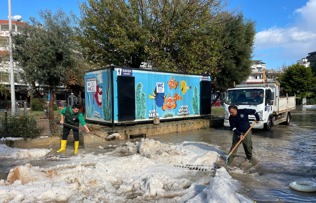 BÜYÜKŞEHİR DİDİM’İ UNUTUNCA DİDİM BELEDİYESİ SAHAYA İNDİ