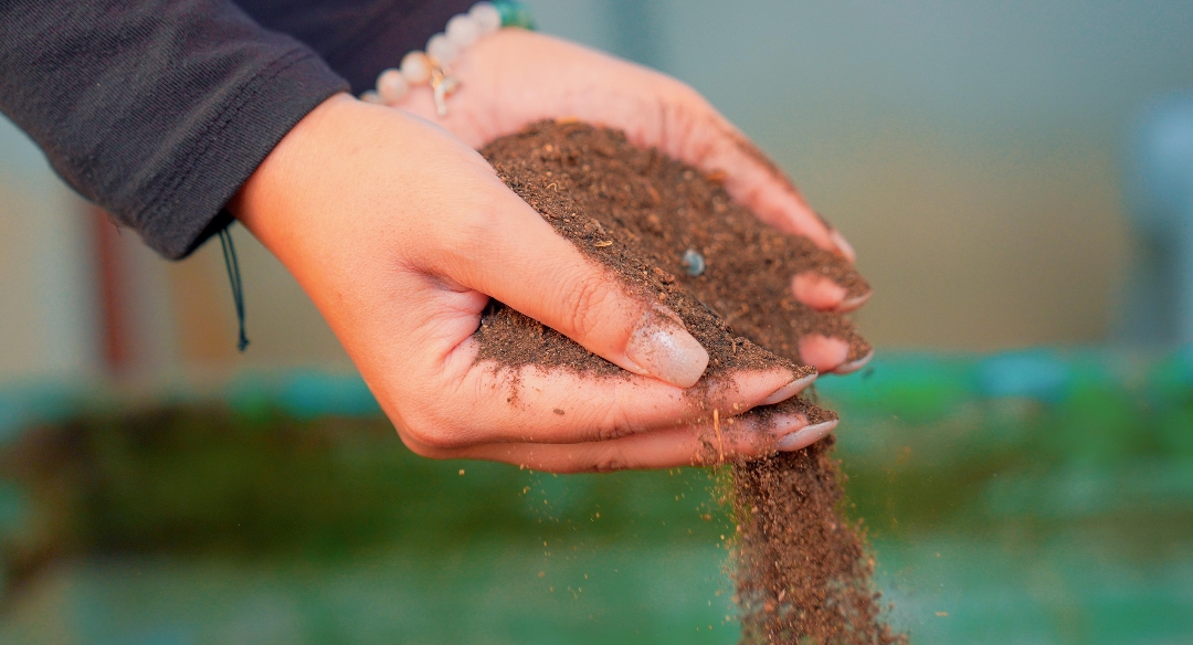 DİDİM BELEDİYESİ’NDEN ÖRNEK PROJE: PAZAR ATIKLARI KOMPOSTA DÖNÜŞÜYOR