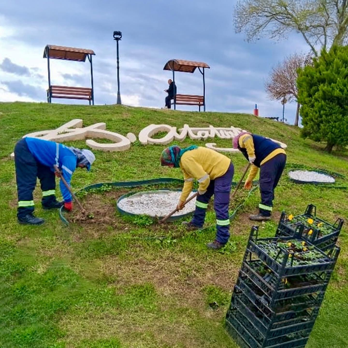 Didim Belediyesi Yeşil Alanlarda Bakım ve Çevre Düzenleme Çalışmalarını Sürdürüyor