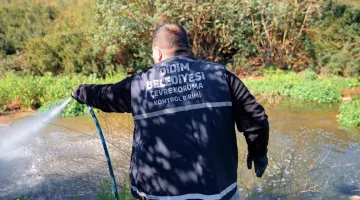 DİDİM BELEDİYESİ VEKTÖRLE MÜCADELEYİ YIL BOYUNCA SÜRDÜRÜYOR